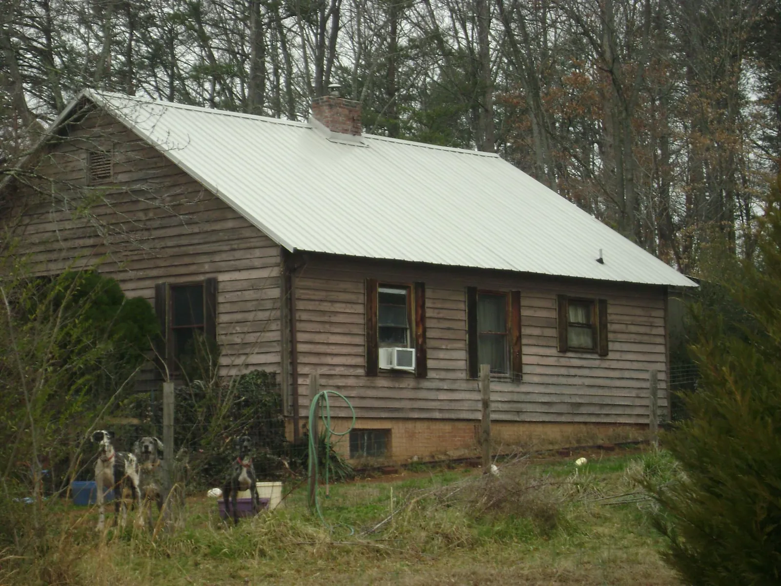 White metal roof on an old wood sided farmhouse, from a Asphalt Shingle Roof Repair job in Roseland